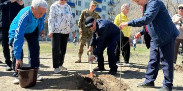 Аягөзде Ұлы Жеңістің 80 жылдығына орай «80 жылдыққа — 80 ағаш» экологиялық акциясы өтті
