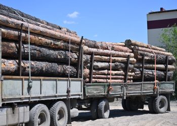 Семейде ағаш өңдеу кешенінің құрылысы басталды