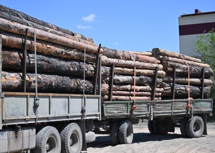 Семейде ағаш өңдеу кешенінің құрылысы басталды