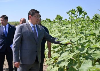 Облыс әкімі Жармадағы ірі шаруашылық жұмысымен танысты