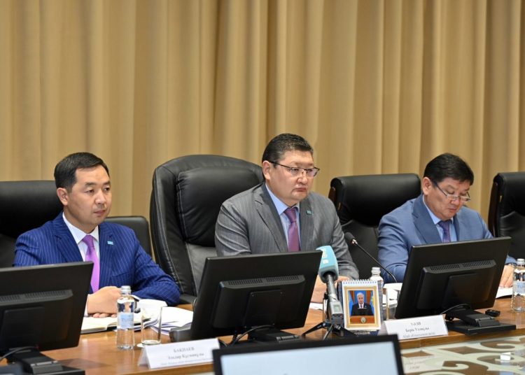 Алакөлде 20 млн долларлық шипажай салынады – әзербайжан инвесторлары жобасын таныстырды