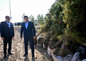 Қарағайлыда жаңа саябақ құрылысы қарқын алды: қала күніне дейін тапсырылды