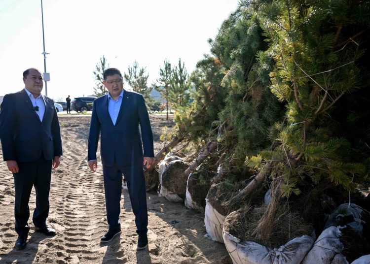 Қарағайлыда жаңа саябақ құрылысы қарқын алды: қала күніне дейін тапсырылды