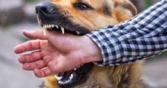 ҚҰТЫРМА — ҚАУІПТІ АУРУ