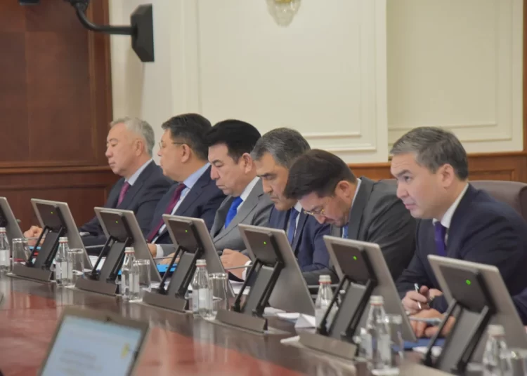 Цифрлық кодекс Президент белгілеген мерзімде қабылданады — Мәдиев