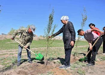 Берік Уәли тазалыққа екпін қосты: апта сайын сенбілік болады