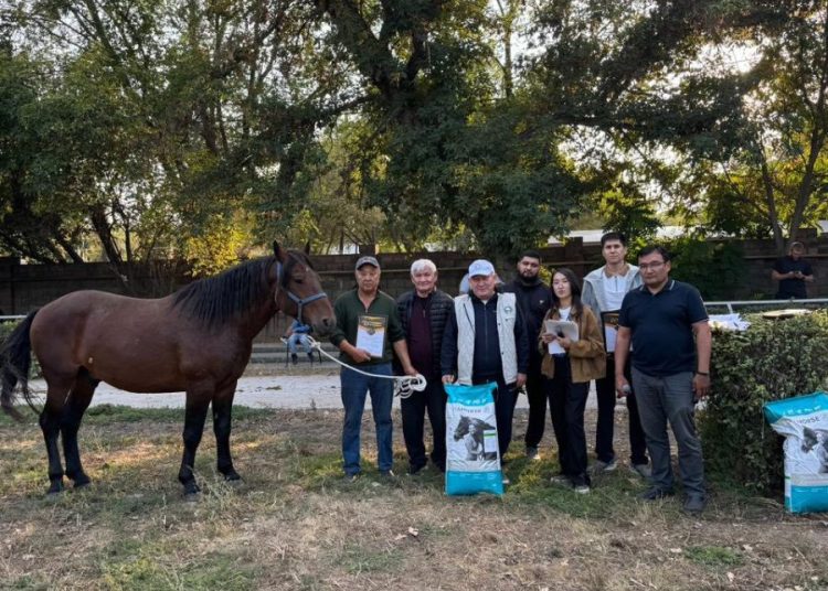 Бесқарағайдың Байторы мен Шойынқарасы республикалық көрмеде оза шапты