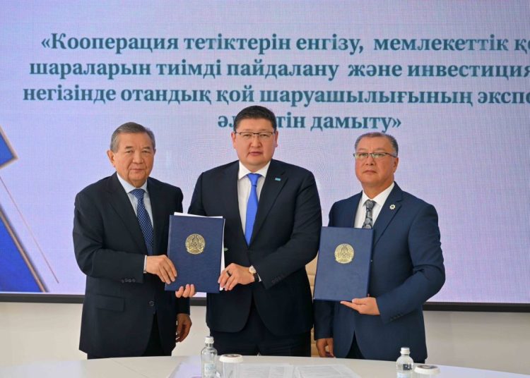 Семейде қой шаруашылығының экспорттық әлеуеті талқыланды