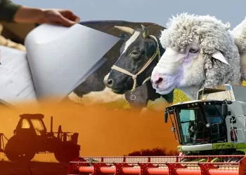 Ауыл шаруашылығын ауқымды қолдау елімізде бұрын-соңды болмаған – Тоқаев