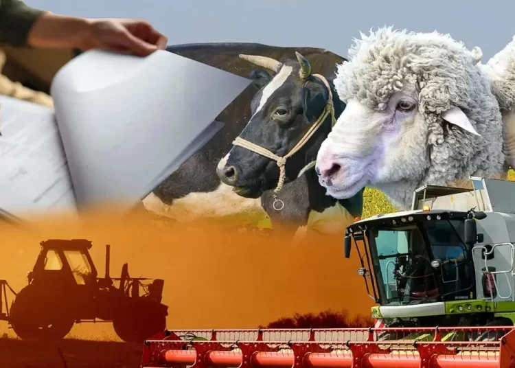 Ауыл шаруашылығын ауқымды қолдау елімізде бұрын-соңды болмаған – Тоқаев