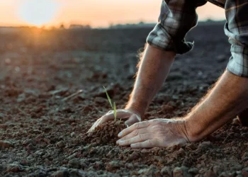 Ауыл шаруашылығы жерлерін беру тәсілдерін түбегейлі өзгерту керек — Жолдау