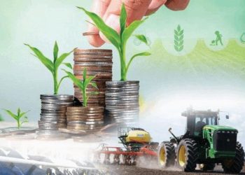 Ауыл шаруашылығының жалпы өнім көлемі 3,4%-ға өсіп, 3,6 трлн теңгеге жетті