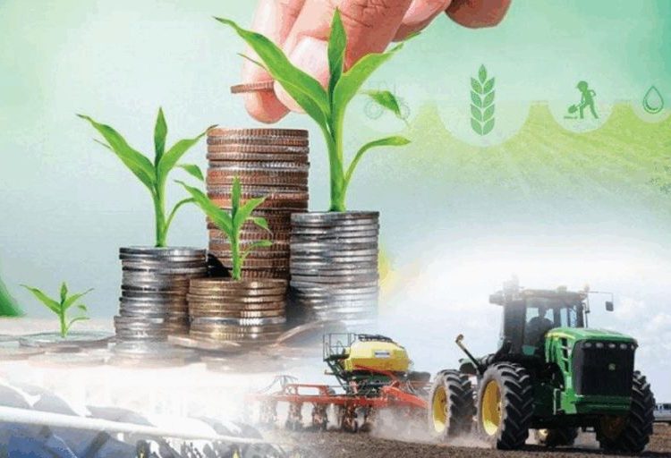 Ауыл шаруашылығының жалпы өнім көлемі 3,4%-ға өсіп, 3,6 трлн теңгеге жетті