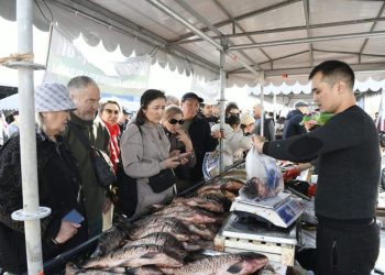 Астанада өткен жәрмеңкеде Абай өңірі 350 тоннадан аса өнім ұсынды
