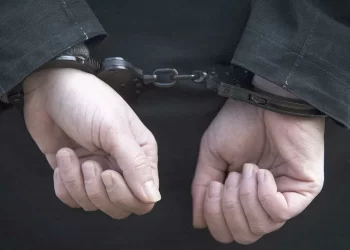 Петропавлда экс-полицей қылмыстық топқа қамқорлық жасағаны үшін 8 жылға сотталды