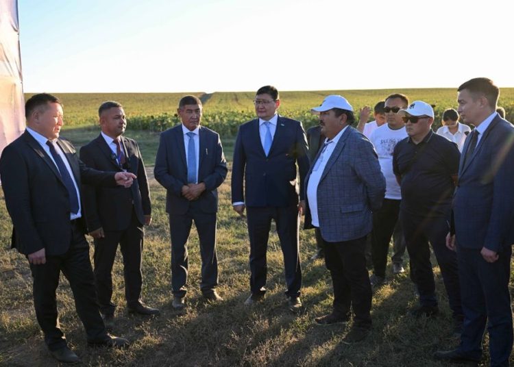 ГҮЛДЕНГЕН ӨҢІРДІҢ ТІРЛІГІ НЫҚ