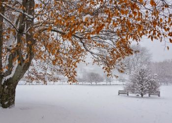 Алдағы күндері ауа райы қандай болады