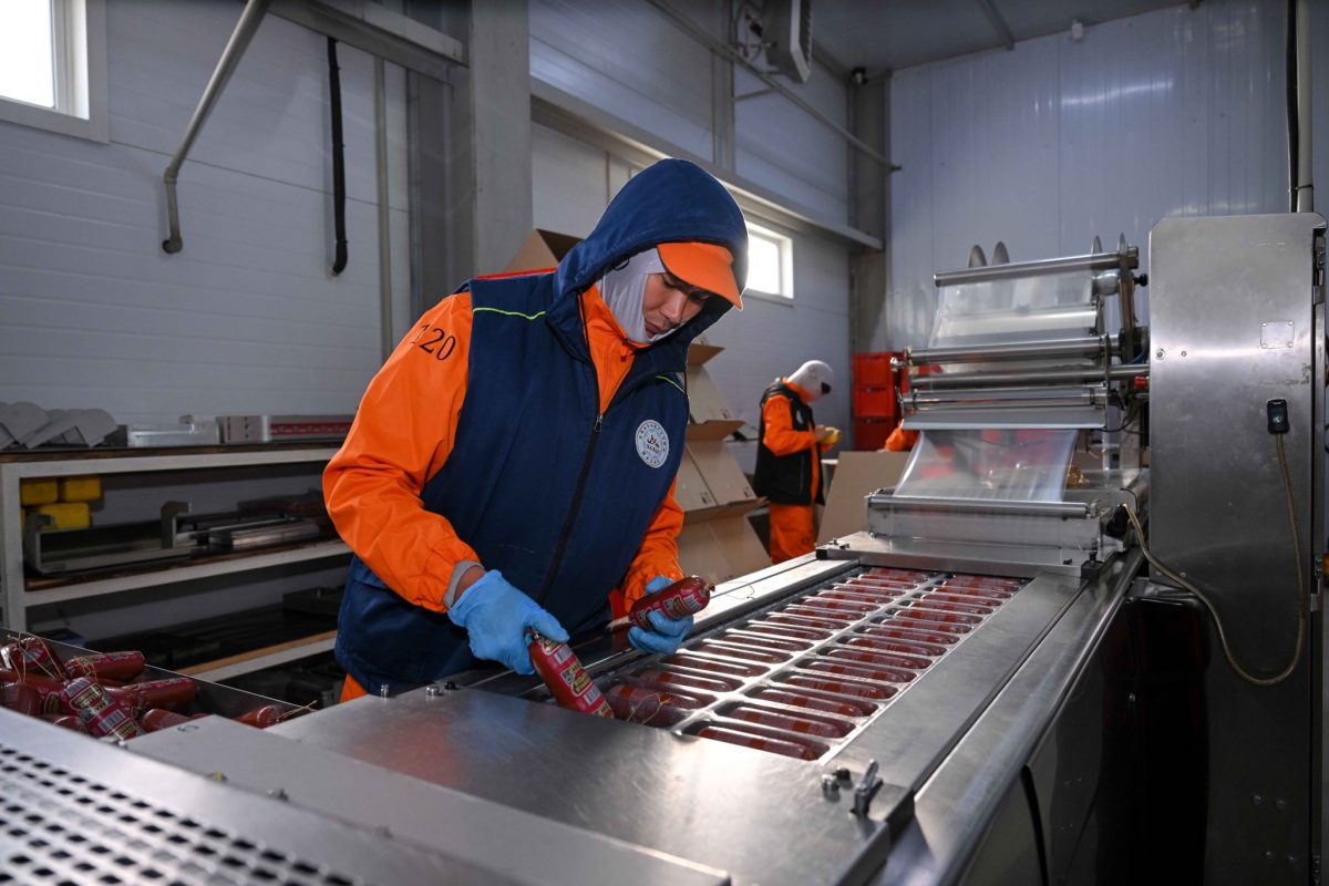 Ауыл шаруашылығы министрі Семей маңындағы ет пен көкөніс өндірісін қарады: жаңа кешен 2026 тамызда ашылады