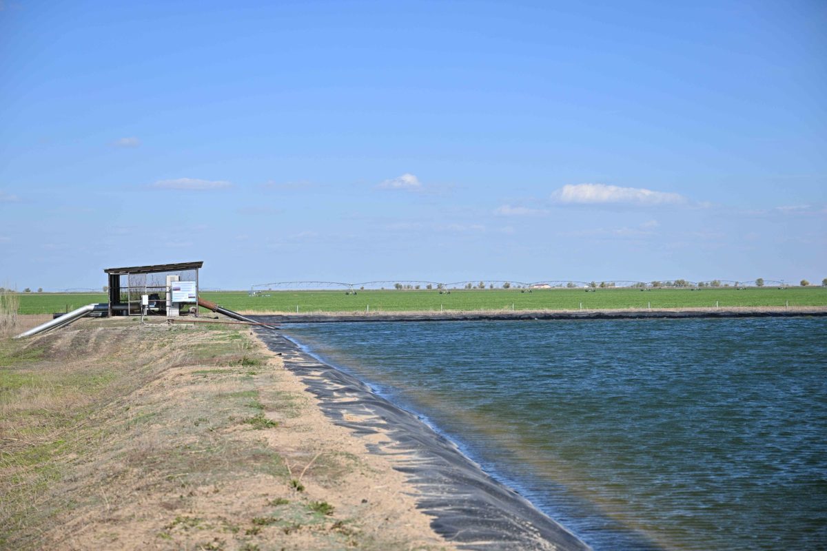 Абай облысында ауыл шаруашылығын дамыту мәселелері талқыланды