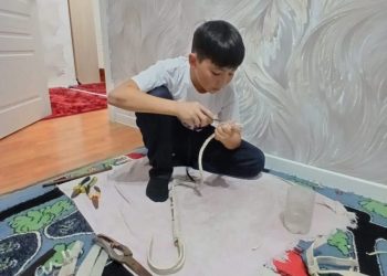 Әлихан — 13 жасында 15 түрлі қамшы өретін жас шебер