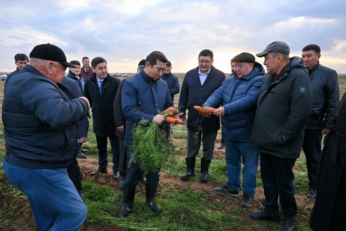 Ауыл шаруашылығы министрі Семей маңындағы ет пен көкөніс өндірісін қарады: жаңа кешен 2026 тамызда ашылады