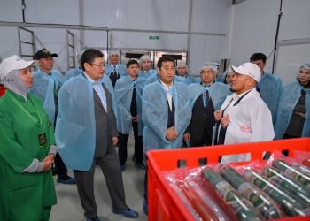 Ауыл шаруашылығы министрі Семей маңындағы ет пен көкөніс өндірісін қарады: жаңа кешен 2026 тамызда ашылады