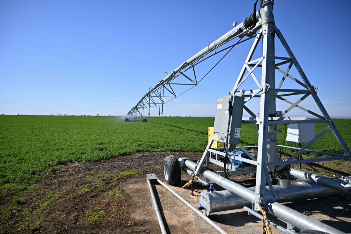 Абай облысында ауыл шаруашылығын дамыту мәселелері талқыланды