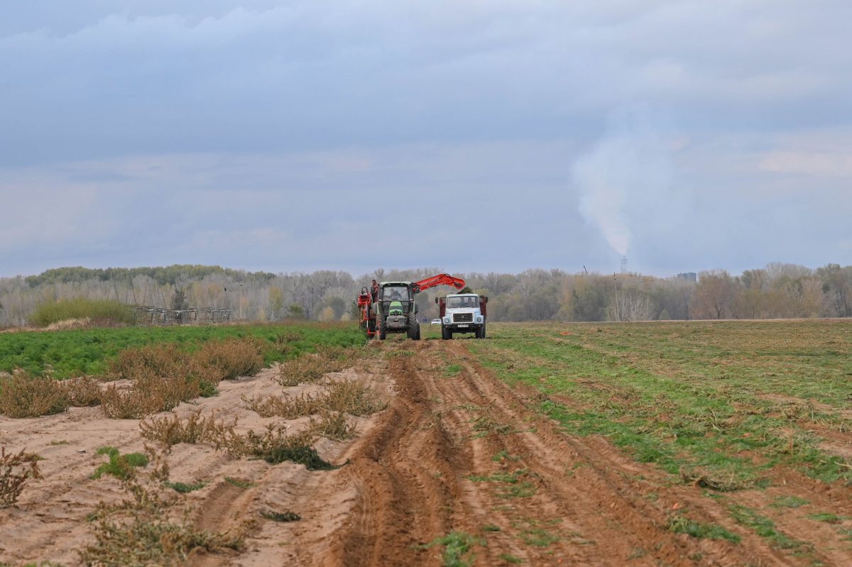 Ауыл шаруашылығы министрі Семей маңындағы ет пен көкөніс өндірісін қарады: жаңа кешен 2026 тамызда ашылады