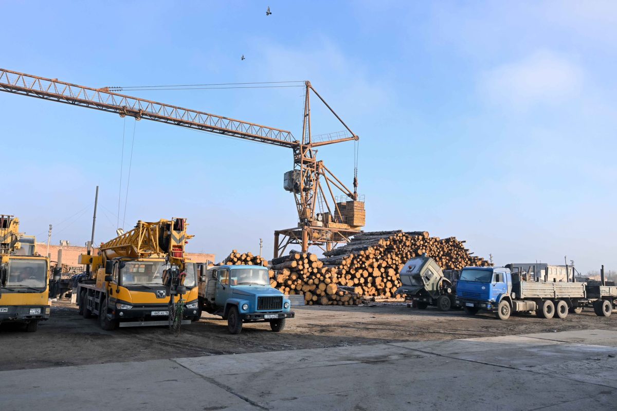 Семейде OSB және фанера зауыты жыл соңына дейін жұмысын бастайды