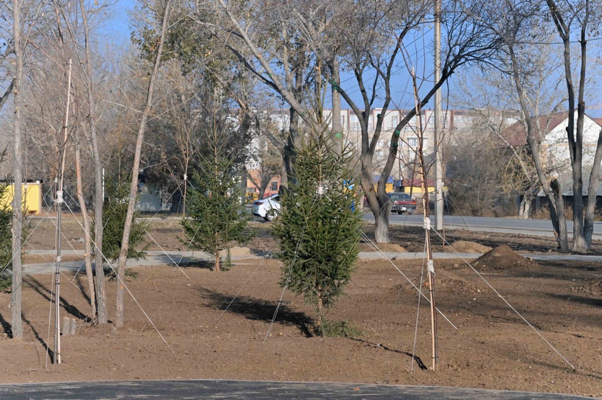 Семейдегі «Юность» шағын ауданында заманауи қоғамдық кеңістік салынып жатыр