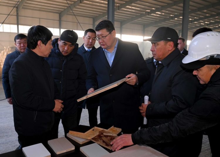 Семейде OSB және фанера зауыты жыл соңына дейін жұмысын бастайды