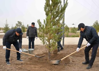 «Таза Қазақстан»: Абай облысында 300 гектар тазартылып, 5 мың көшет отырғызылды