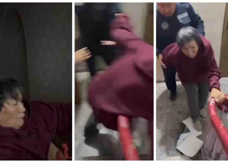 Іле ауданында 77 жастағы әжейге күш қолдану дерегі бойынша тексеріс басталды (Видео)