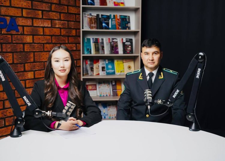 Лудомания дерті өршіп тұр: мемлекет заңсыз ойынға қарсы күресті күшейтті