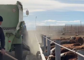 Ақсуат ауданында ауыл шаруашылығы саласын дамытуға бағытталған жаңа жоба іске қосылды