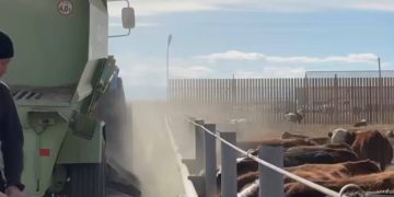 Ақсуат ауданында ауыл шаруашылығы саласын дамытуға бағытталған жаңа жоба іске қосылды