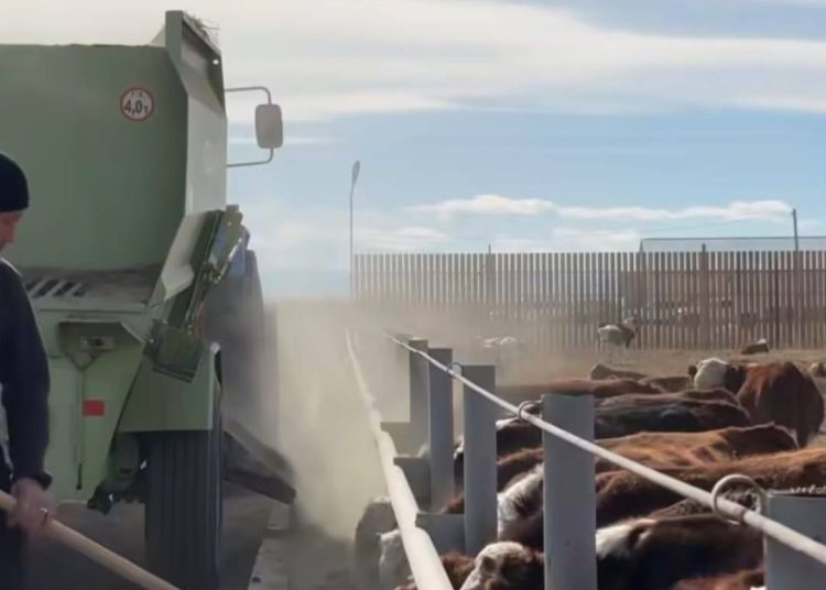 Ақсуат ауданында ауыл шаруашылығы саласын дамытуға бағытталған жаңа жоба іске қосылды