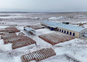 Бородулиха ауданында жаңа кірпіш зауыты жұмысын бастады