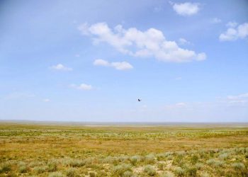 Абай облысында пайдаланылмайтын ауыл шаруашылығы жерлері жоспардан бұрын қайтарылды