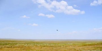 Абай облысында пайдаланылмайтын ауыл шаруашылығы жерлері жоспардан бұрын қайтарылды