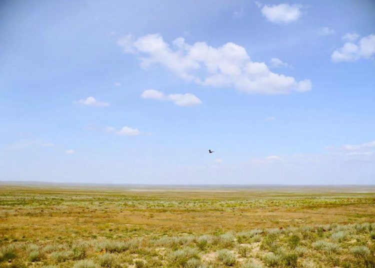 Абай облысында пайдаланылмайтын ауыл шаруашылығы жерлері жоспардан бұрын қайтарылды