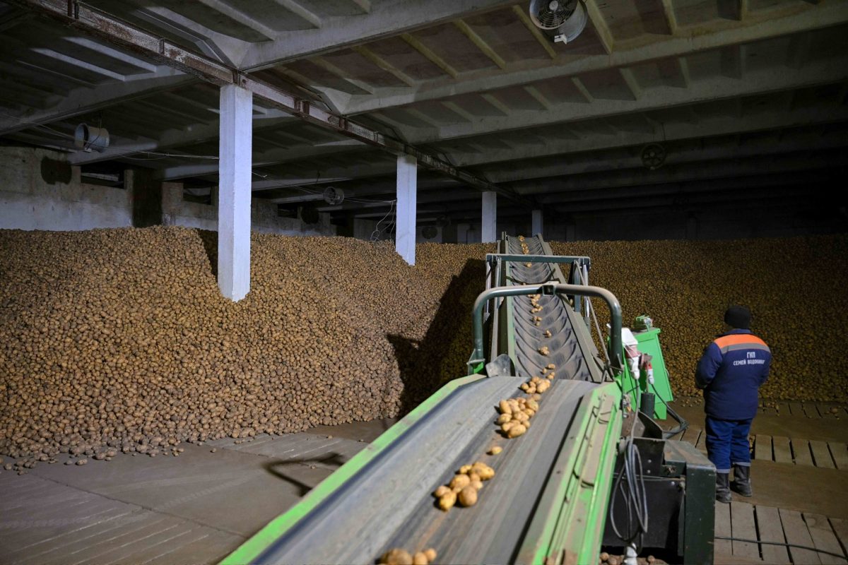 Абай облысында азық-түлік қауіпсіздігін арттыру шаралары қаралды