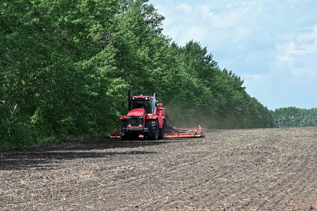 Абай облысында азық-түлік қауіпсіздігін арттыру шаралары қаралды