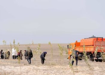 Берік Уәли: Өңірде тазалық жұмыстары жыл он екі ай тоқтамауы керек