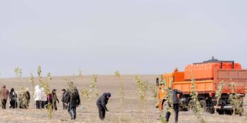 Берік Уәли: Өңірде тазалық жұмыстары жыл он екі ай тоқтамауы керек