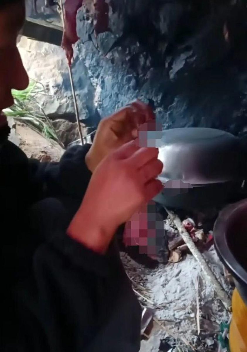 25 жастағы қыз иен аралда тек егеуқұйрықпен қоректеніп, бір айда 14 келі салмақ тастаған