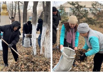Ауыл келбеті – ортақ жауапкершілік: «AMANAT» партиясы экологиялық бастаманы қолдады