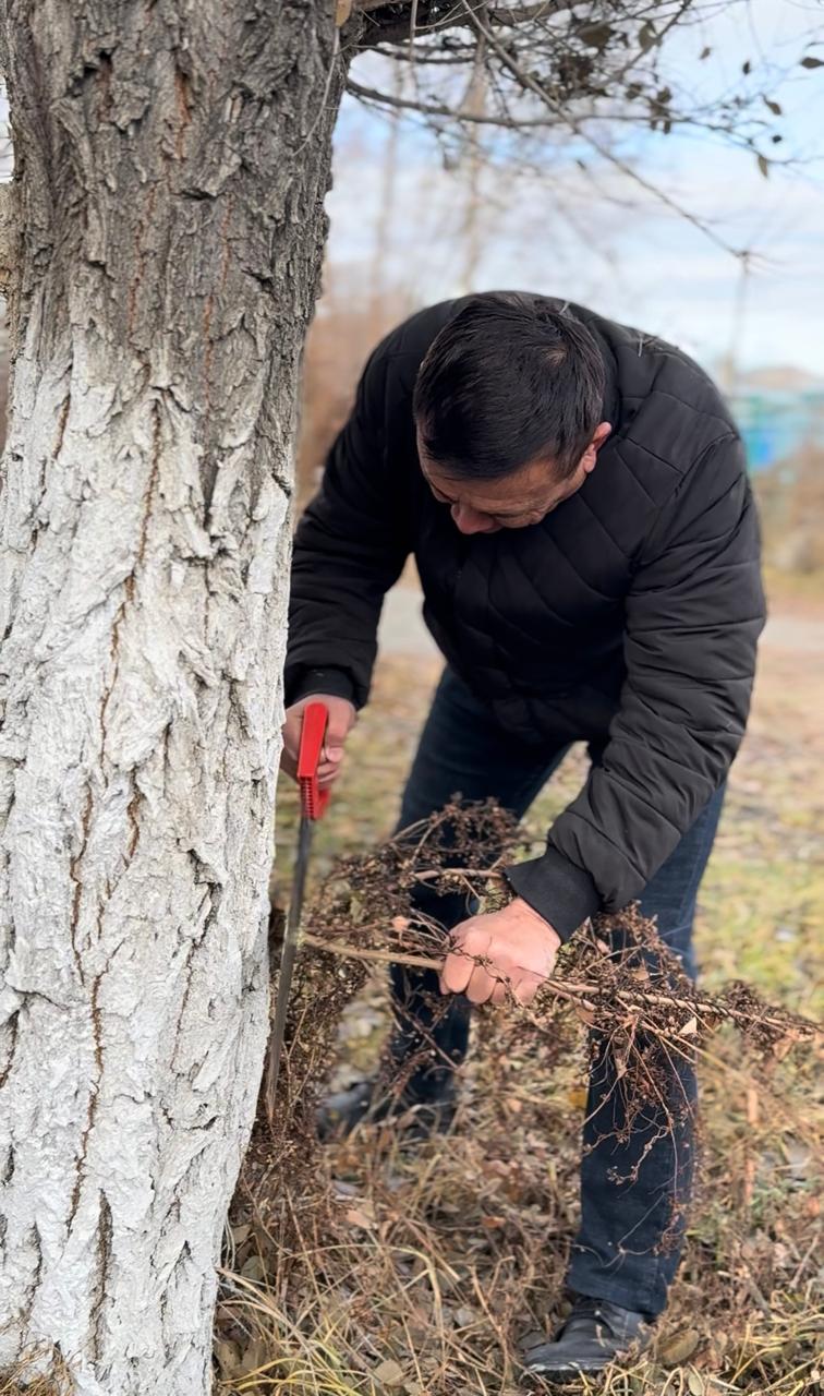 Ауыл келбеті – ортақ жауапкершілік: «AMANAT» партиясы экологиялық бастаманы қолдады