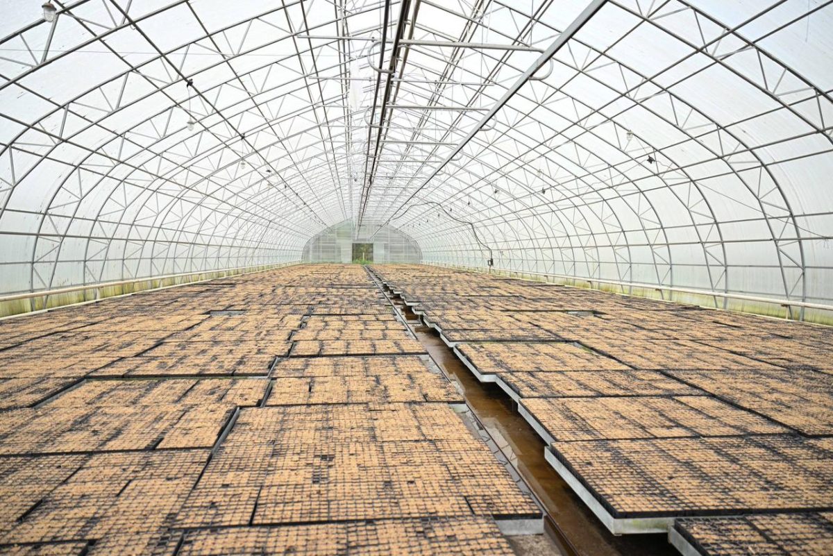 Семейде «Таза Қазақстан» бағдарламасы аясында экологиялық дәріс өтті