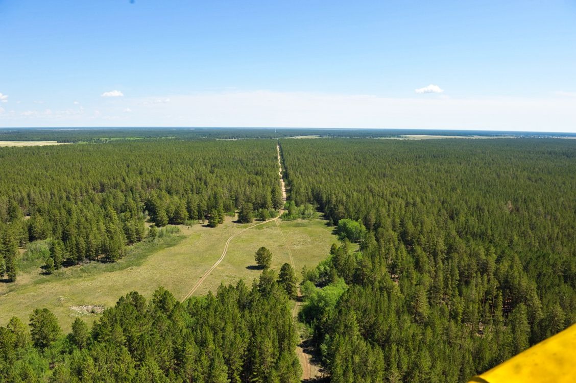 Семейде «Таза Қазақстан» бағдарламасы аясында экологиялық дәріс өтті